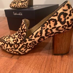Splendid - Rosita III